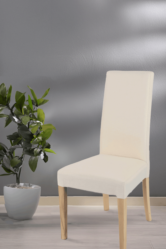 Outlet chair model 36 upholstered in ivory fabric  